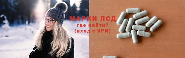 прущий лед Алзамай