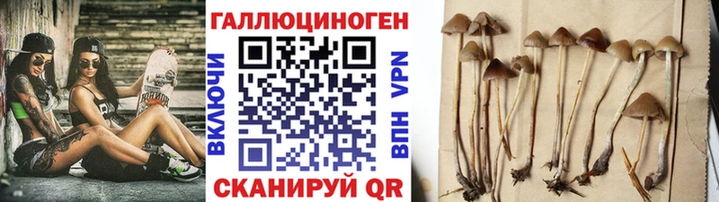 Псилоцибиновые грибы мицелий  Аксай 